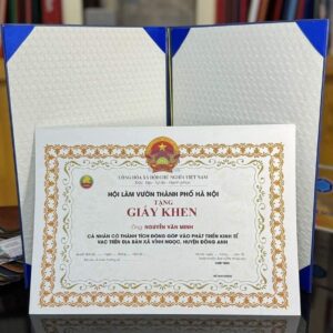 Bìa Bằng Khen, Giấy Khen